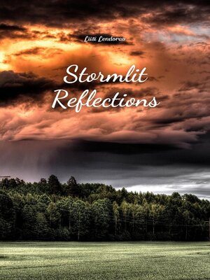 cover image of Stormlit Reflections